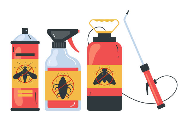 Best Ant Control Services  in Devens, MA